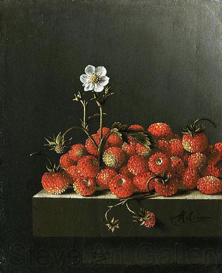 Adriaen Coorte Still life with wild strawberries. Spain oil painting art